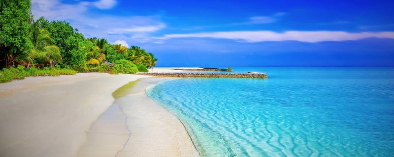 Beachside relaxation